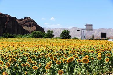 《黑帝斯2》招聘中文翻译 年内在PC端开启抢先体验